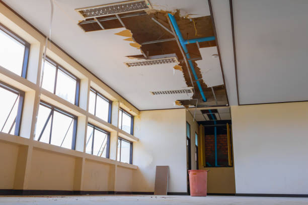 Best Water damage restoration experts  in University Heights, IA