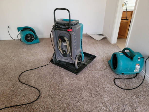 Best Water damage contractors near me  in University Heights, IA