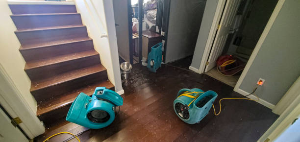 Best 24/7 water damage repair  in University Heights, IA