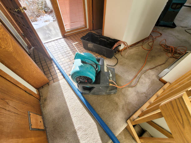 Best Flood damage cleanup  in University Heights, IA
