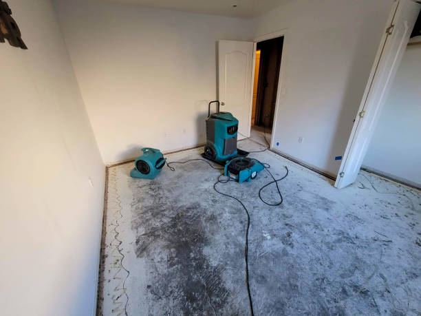 Best Commercial water damage restoration  in University Heights, IA