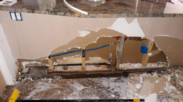Best Water damage restoration company  in University Heights, IA