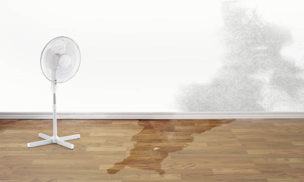 Best Water damage restoration near me  in University Heights, IA
