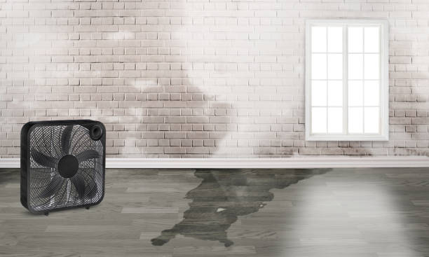 Best Water damage restoration specialists  in University Heights, IA