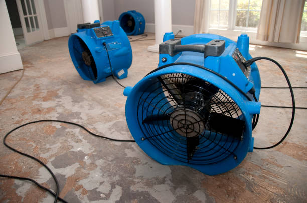 Best Flooded house restoration  in University Heights, IA
