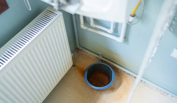 Best Carpet water damage restoration  in University Heights, IA