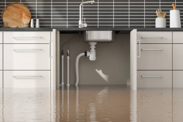 Best Water damage restoration near me  in University Heights, IA