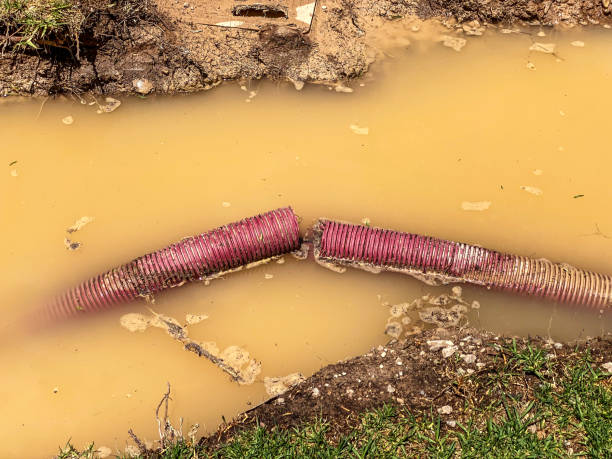 Water damage restoration process in IA