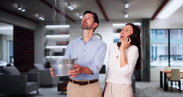 Best Professional water damage repair  in University Heights, IA