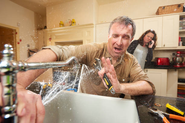Best Flooded house restoration  in University Heights, IA